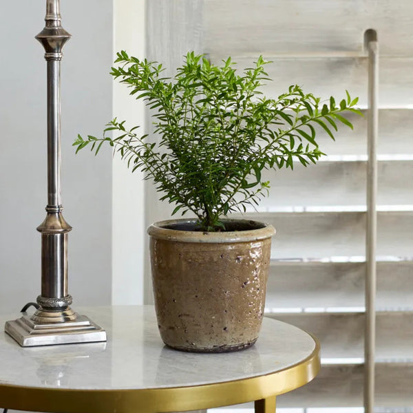 Artificial Plants & Flowers