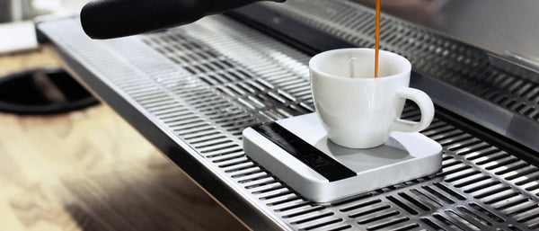 acaia