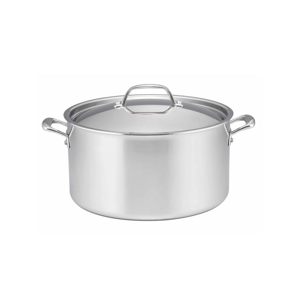 Essteele Eternita Clad Stainless Steel Induction Covered Stockpot 26cm/7.6L
