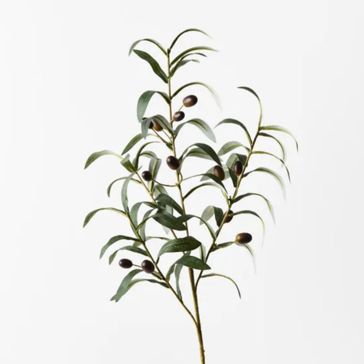 Floral Interiors Olive Leaf Spray 72cm Green