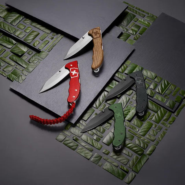 Outdoor & Hunting