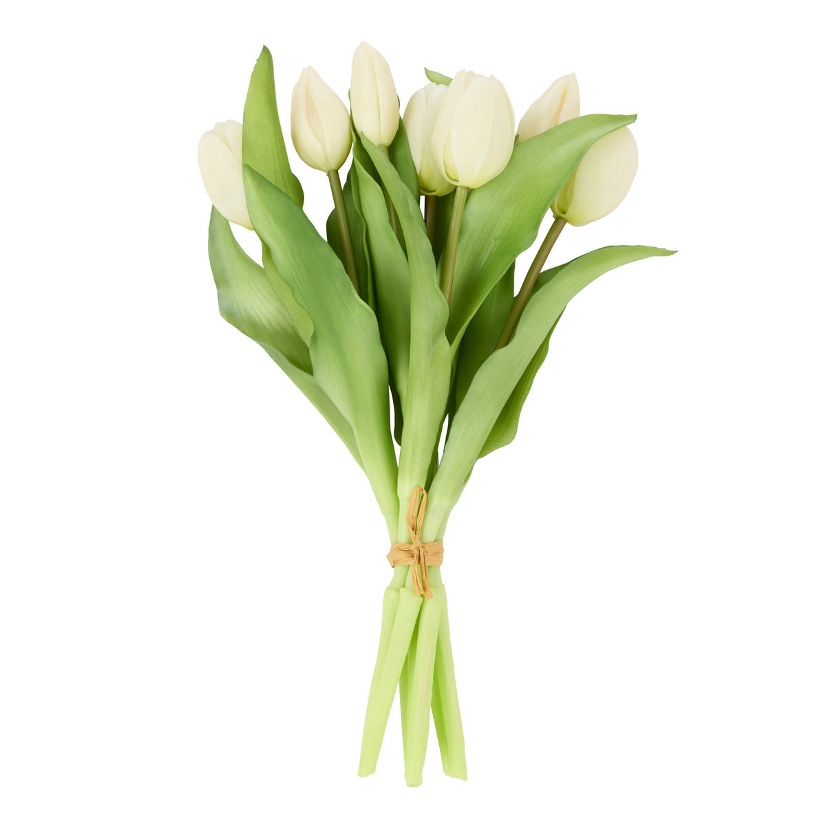 Rogue Tulip Bunch White 30cm