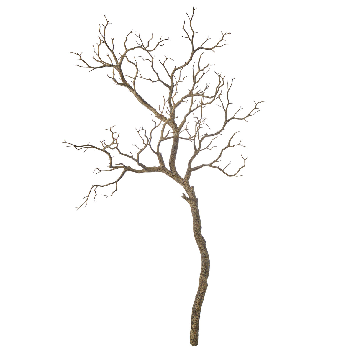 Rogue Single Try Branch