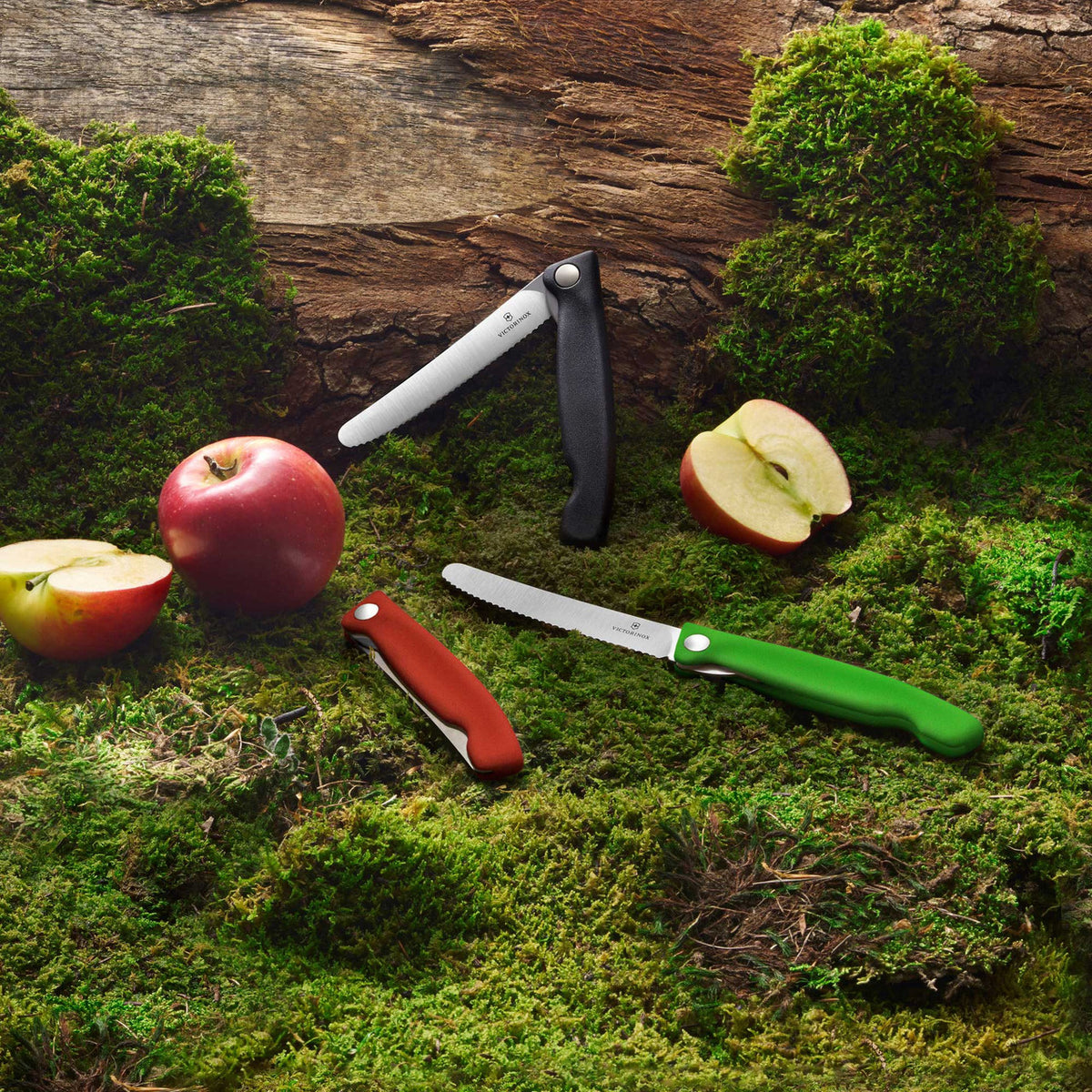Victorinox Swiss Classic Foldable Paring Knife (Black)