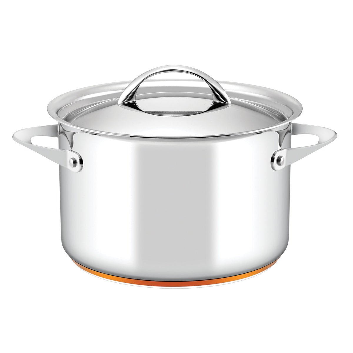 Essteele Per Vita Copper Base Stainless Steel Induction 24cm/7.1L Covered Stockpot