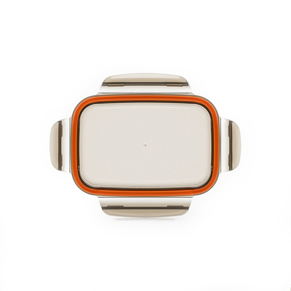 Cuitisan Two Partition Rectangle 700ml No.3