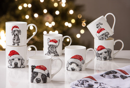 Ashdene Santa Paws Chester the Cat Mug