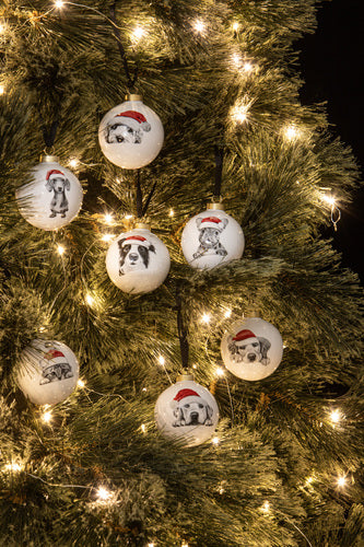 Ashdene Santa Paws Chester the Cat Bauble