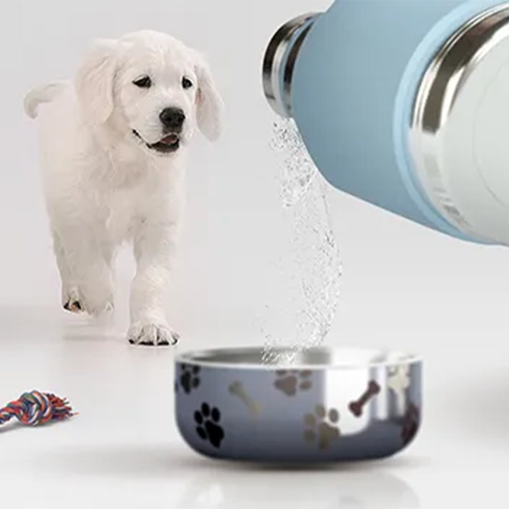 Asobu Stainless Steel Dog Bowl Bottle 975ml - White