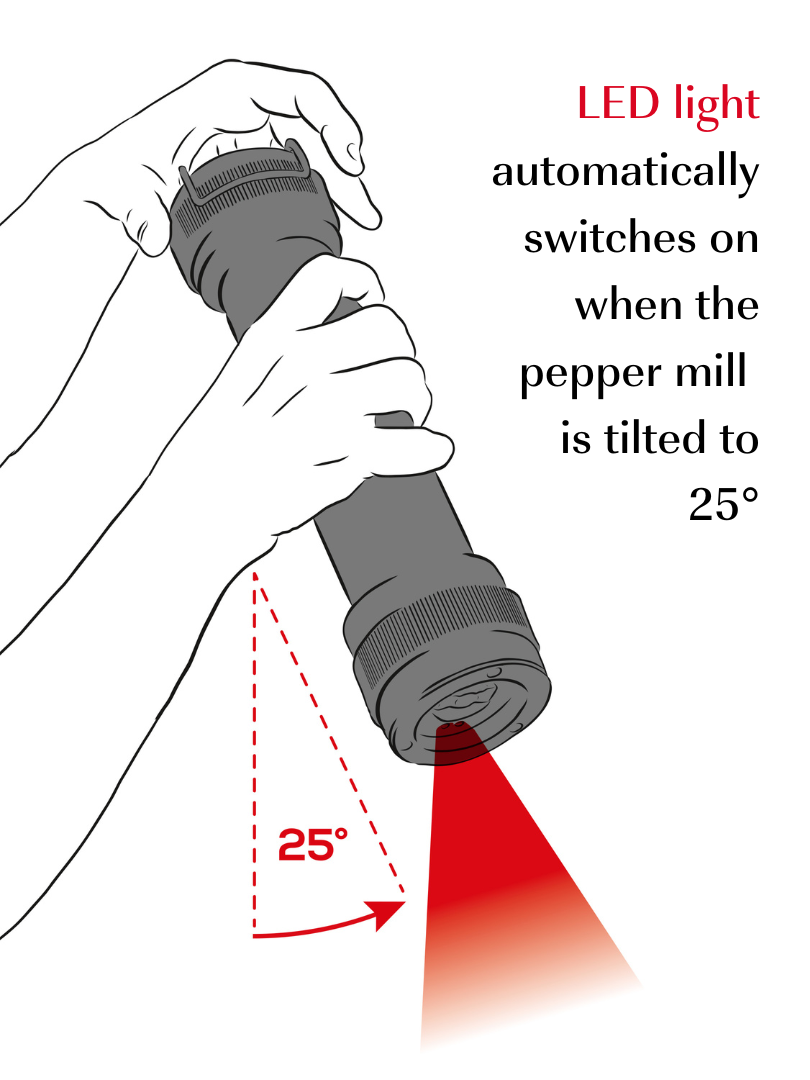 Peugeot BBQ Pepper Mill in Graphite - 30 cm