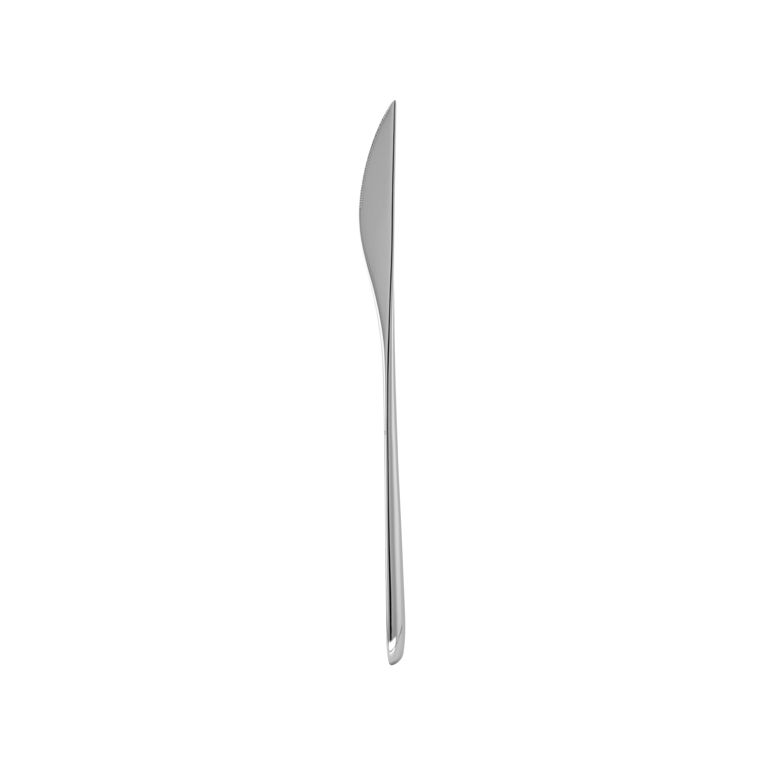 Fortessa Dragonfly Table Knife XL (Silver) (12 Pack)