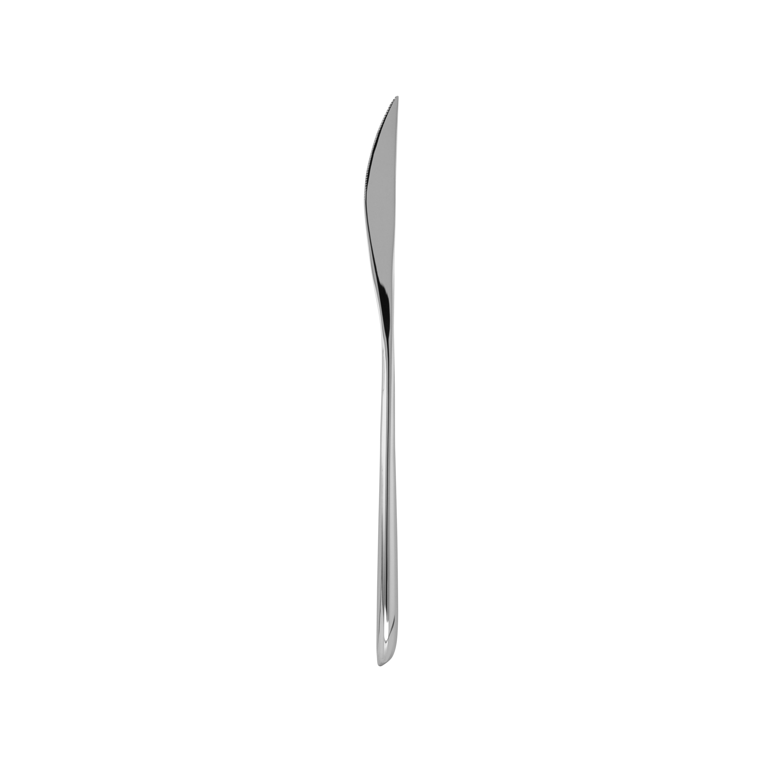 Fortessa Dragonfly Standing Table Knife (Silver) (12 Pack)