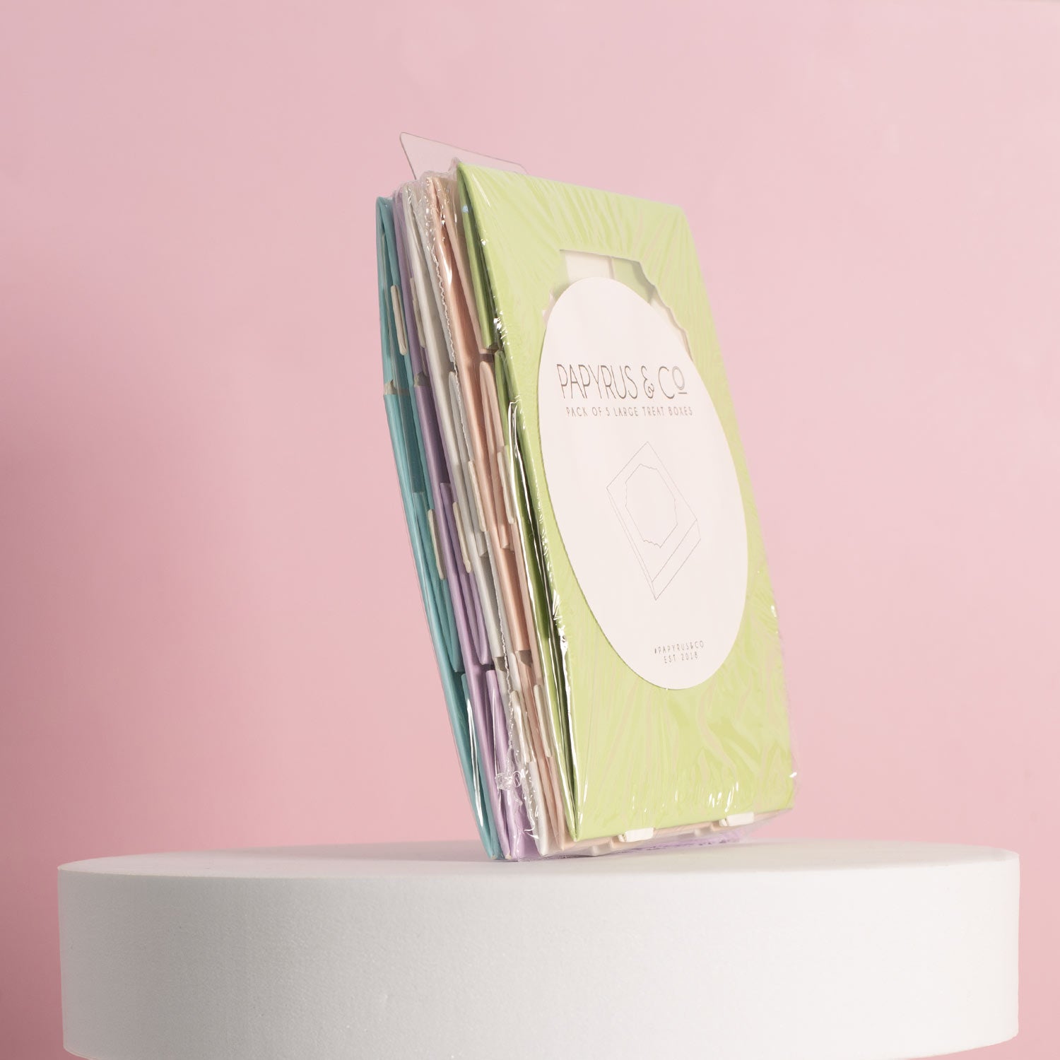 Papyrus Scalloped Small Treat Box Mixed Colours 5 Pack