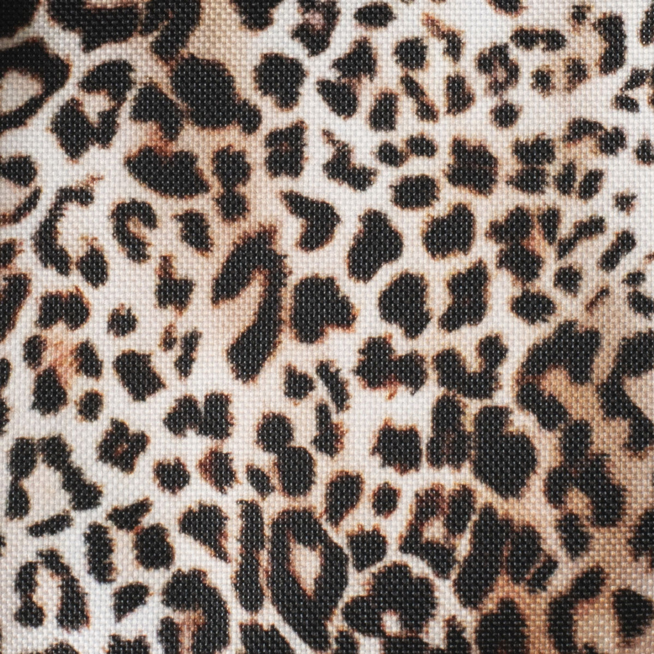 Avanti  Insulated Lunch Bag - Leopard