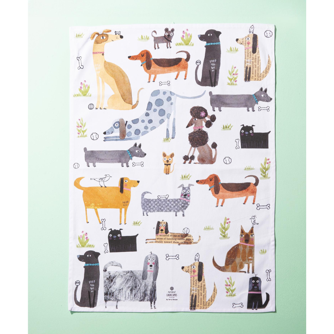 Ashdene Canine Capers Dachshund 2pk Kitchen Towel
