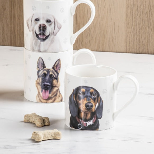 Ashdene Paws & All Dachshund Mug