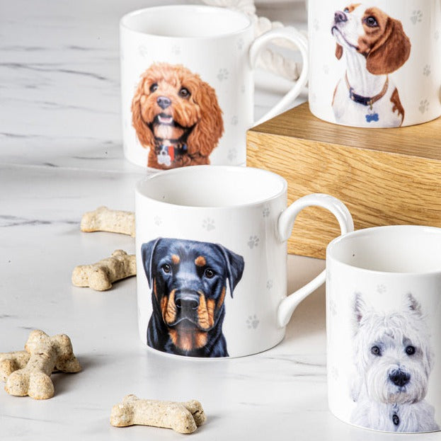 Ashdene Paws & All Cavoodle Mug