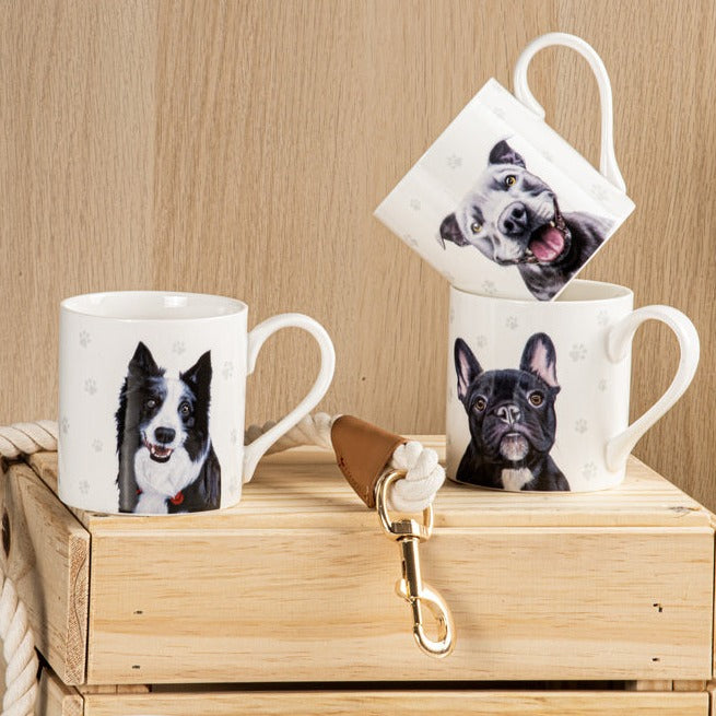 Ashdene Paws & All Border Collie Mug