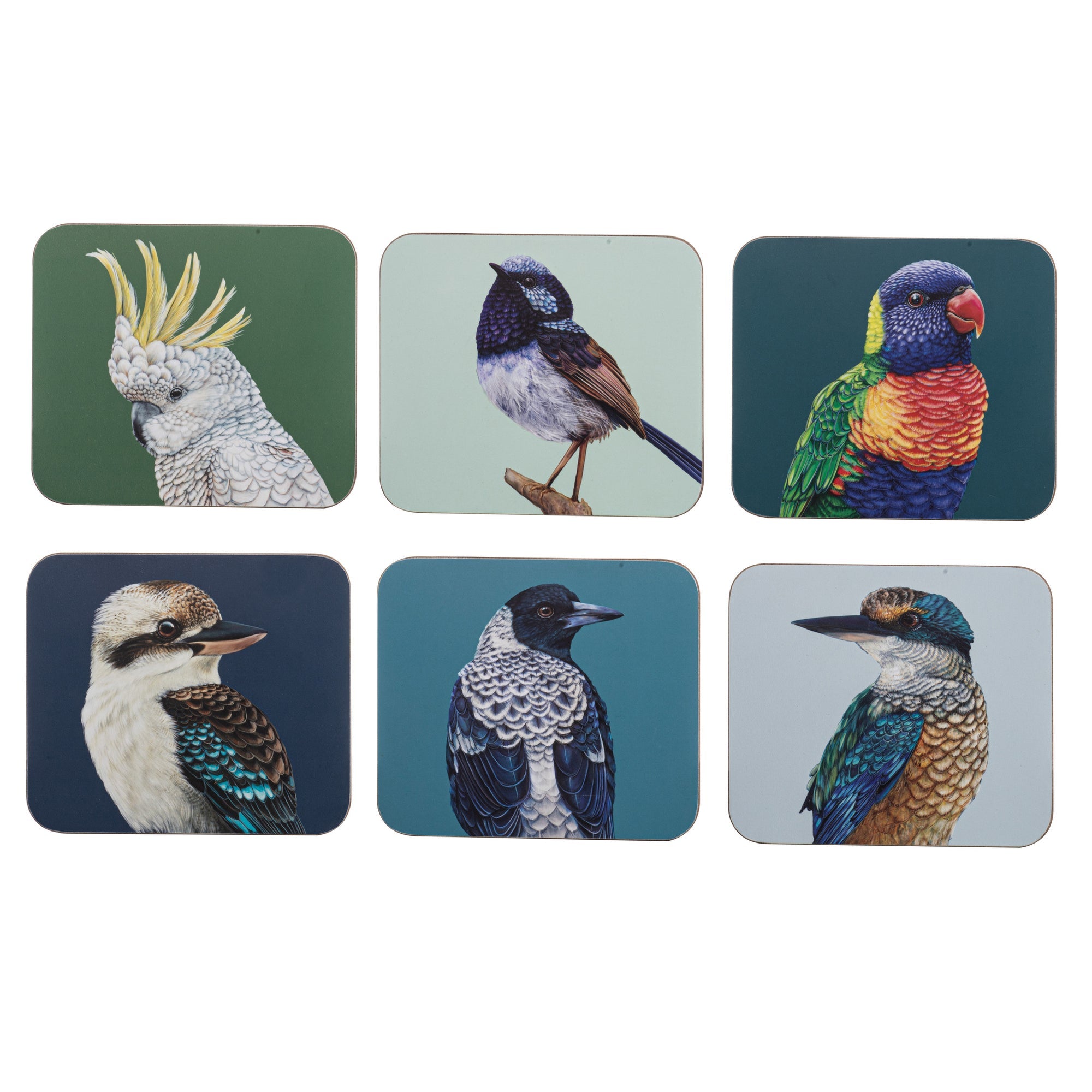 Ashdene Modern Birds Assorted 6pk Coaster