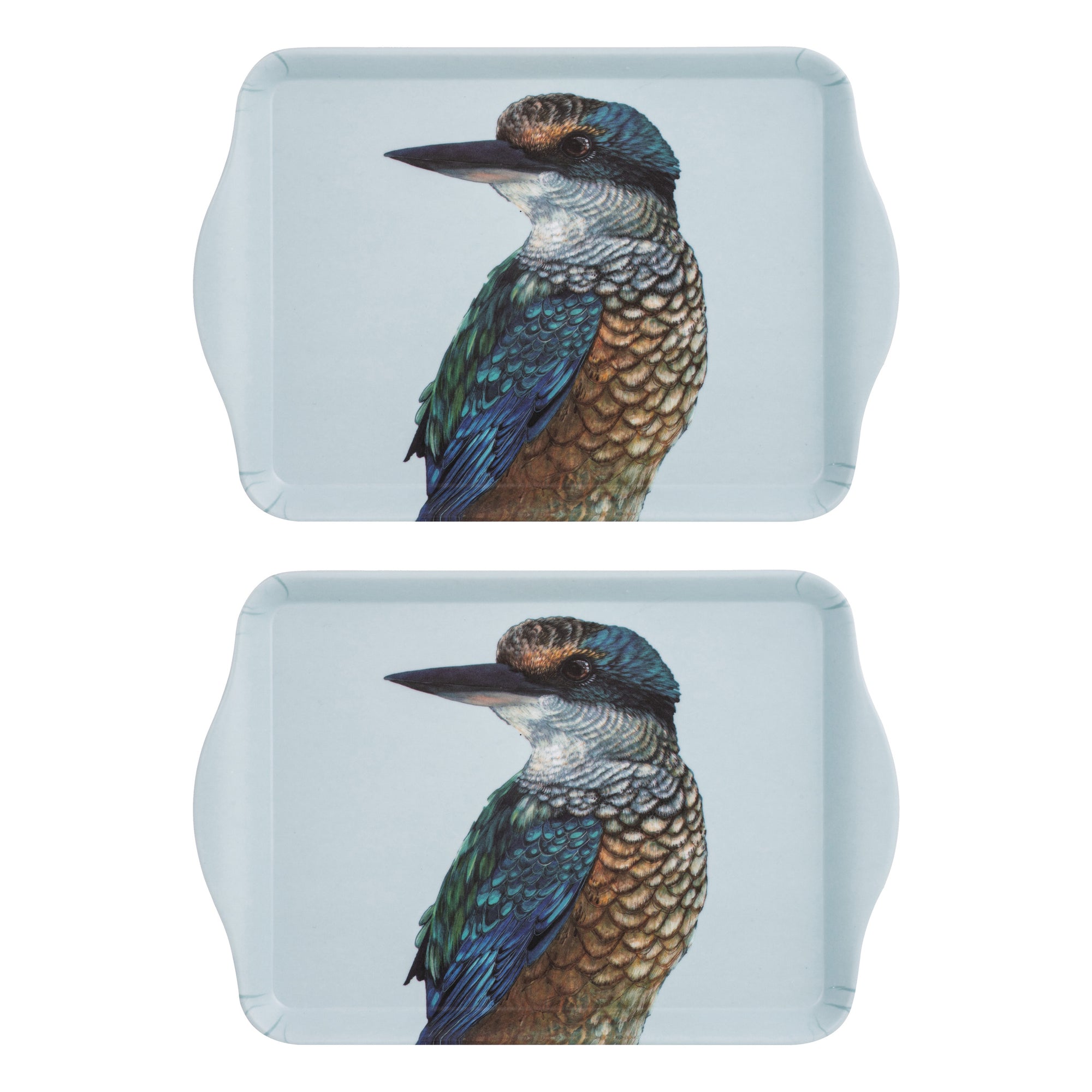 Ashdene Modern Birds Kingfisher 2pk Scatter Tray