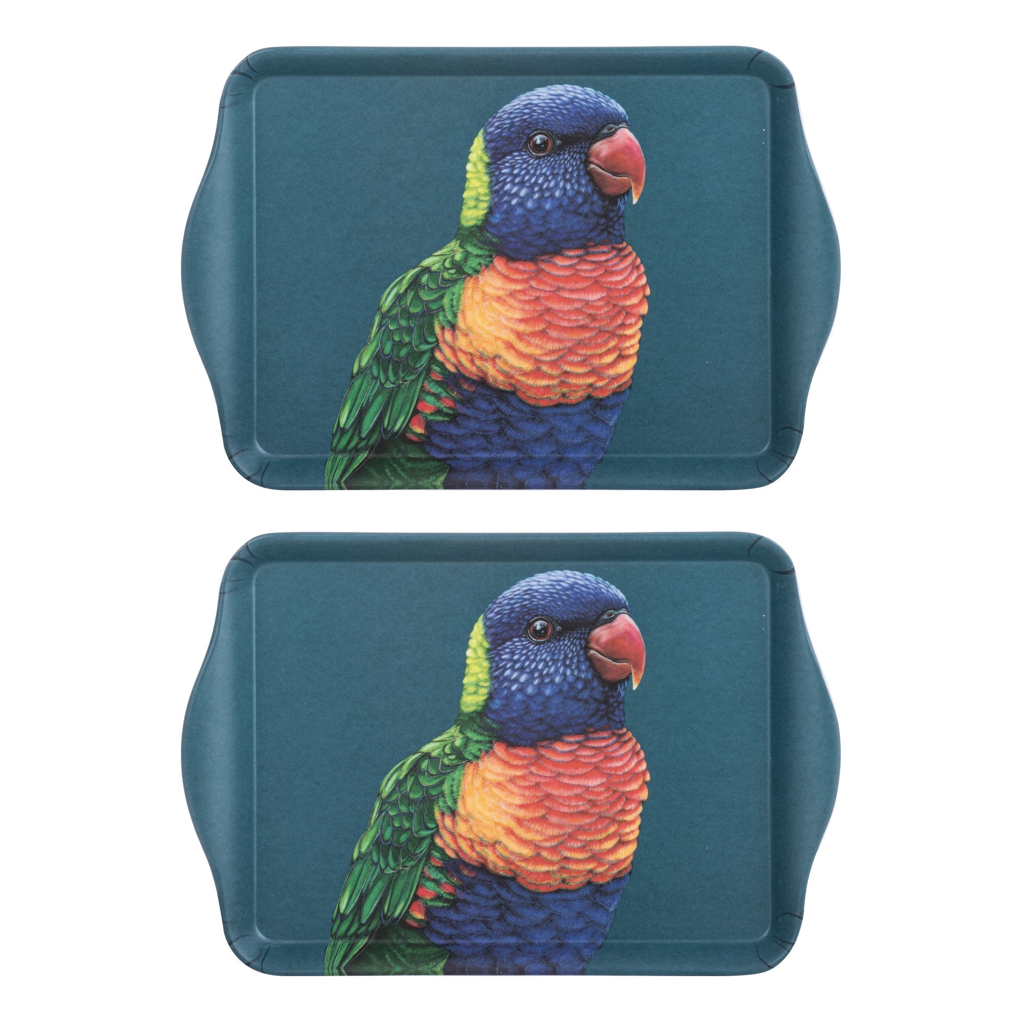 Ashdene Modern Birds Rainbow Lorikeet 2pk Scatter Tray