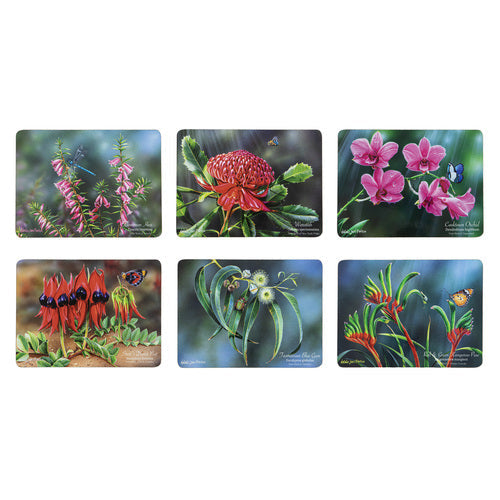 Ashdene Botanical Emblems Assorted 6pk Placemat