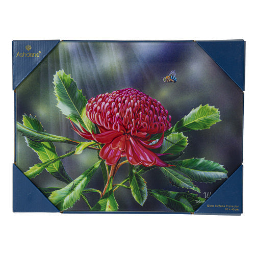 Ashdene Botanical Emblems Waratah Surface Protector