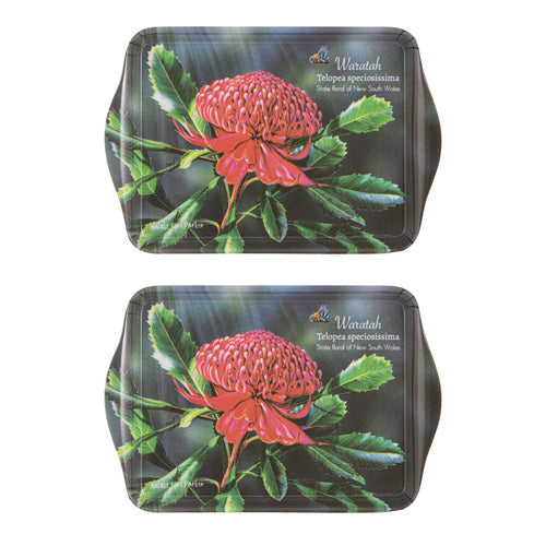 Ashdene Botanical Emblems Waratah 2pk Scatter Tray