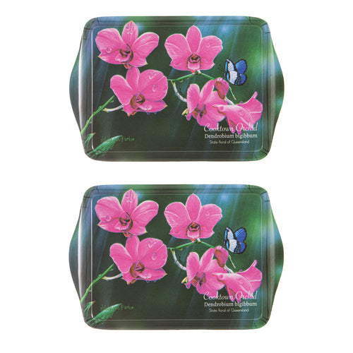 Ashdene Botanical Emblems Cooktown Orchid 2pk Scatter Tray