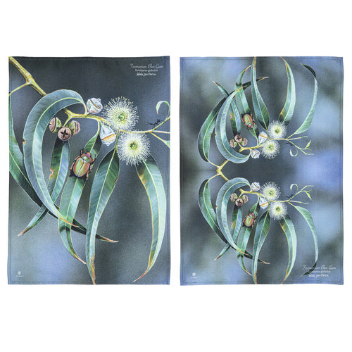 Ashdene Botanical Emblems Blue Gum 2pk Kitchen Towel