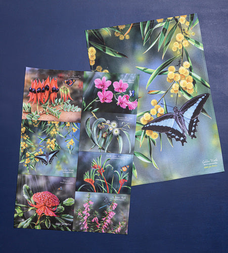 Ashdene Botanical Emblems Wattle 2pk Kitchen Towel
