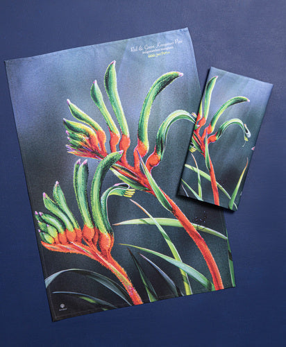 Ashdene Botanical Emblems Kangaroo Paw 2pk Kitchen Towel