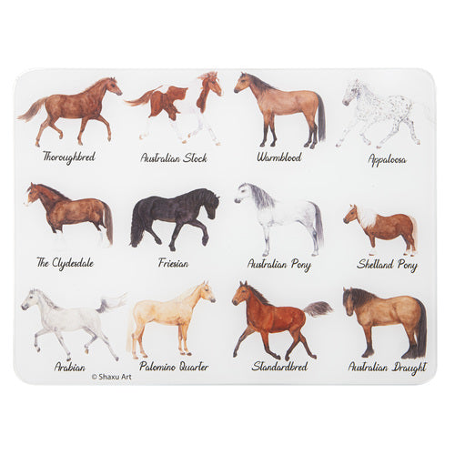Ashdene Best In Breed Horse Surface Protector