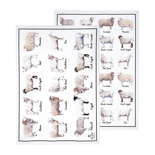 Ashdene Best In Breed Sheep 2pk Kitchen Towel