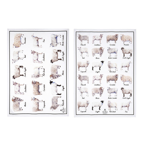 Ashdene Best In Breed Sheep 2pk Kitchen Towel