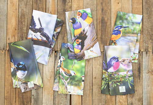 Ashdene Aus Small Birds Wren & Wagtail 2pk Kitchen Towel