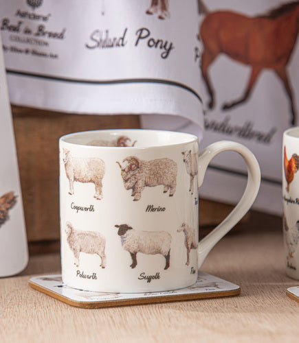 Ashdene Best In Breed Sheep Mug