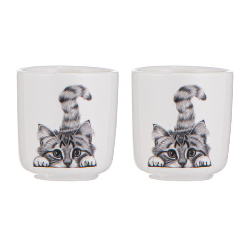 Ashdene Chester The Cat 2pk Egg Cup