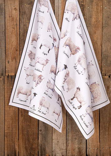 Ashdene Best In Breed Sheep 2pk Kitchen Towel