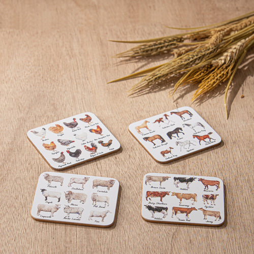Ashdene Best In Breed 4pk Assorted Coaster