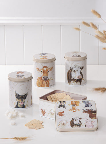 Ashdene Farmyard Faces Biscuit Tin