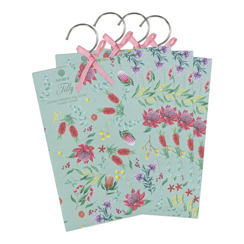 Ashdene Tilly 4pk Flannel Flower 60g Hang Sachet