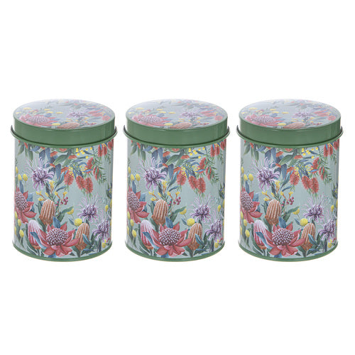 Ashdene Tilly 3pk Canister