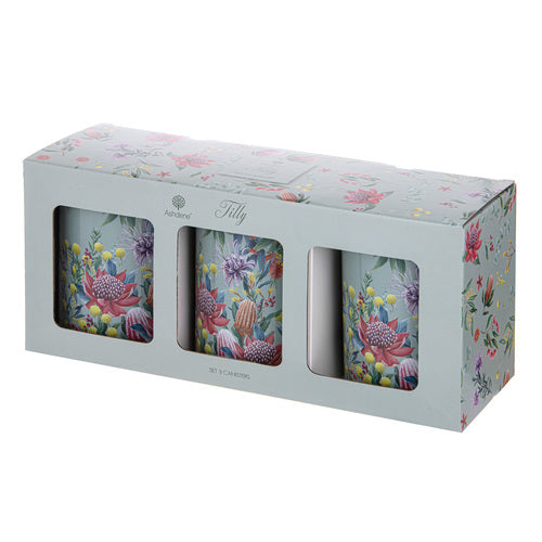Ashdene Tilly 3pk Canister