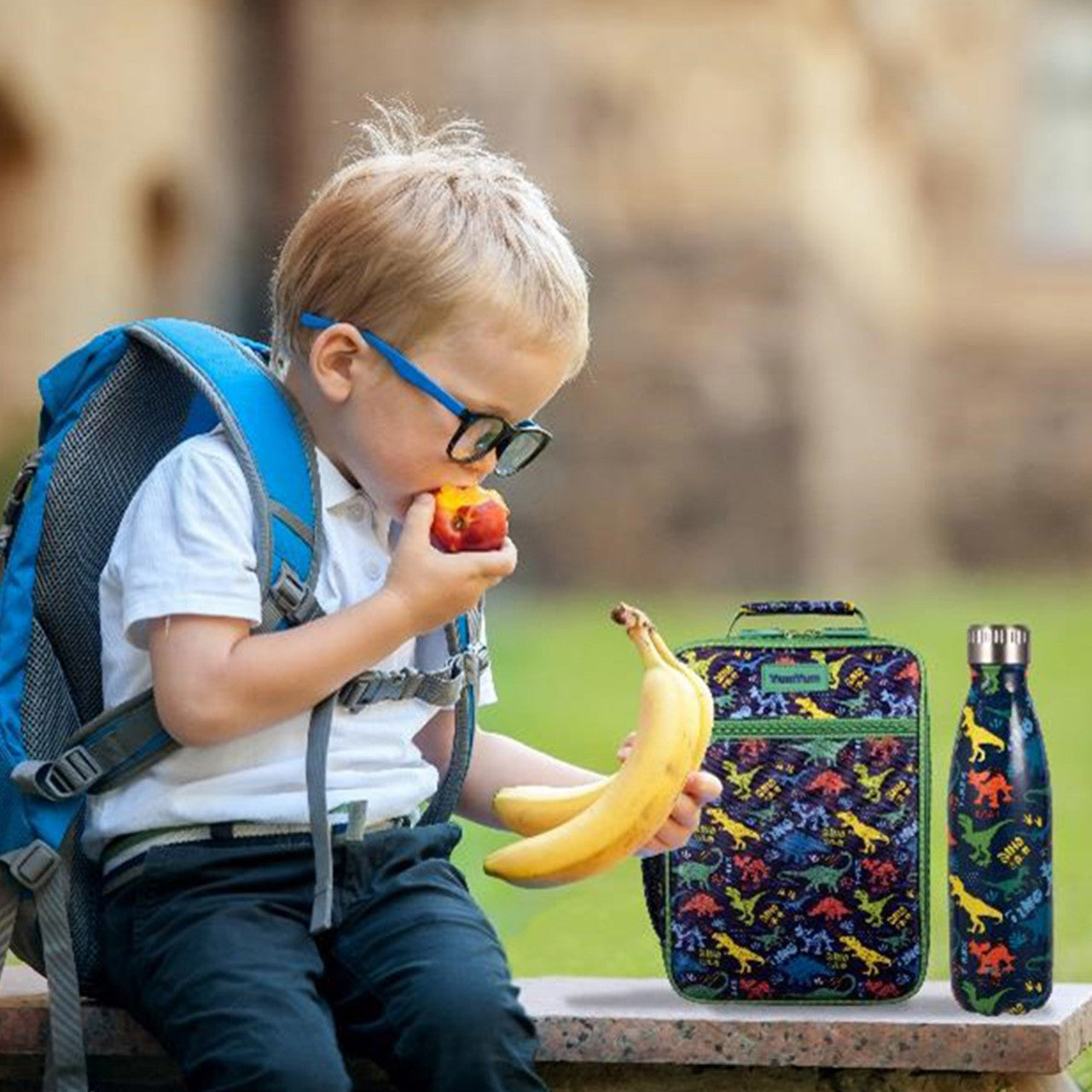 Avanti  Yum Yum Bento Box - Dinosaur Parade