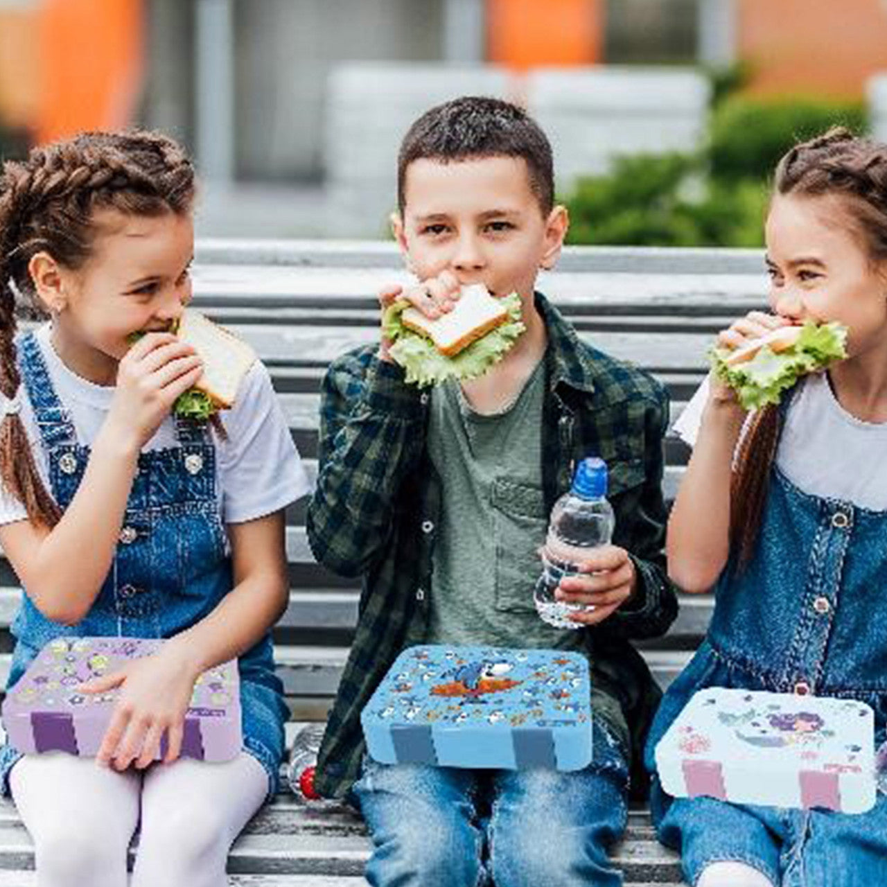 Avanti  Yum Yum Bento Box - Surfing Sharkie