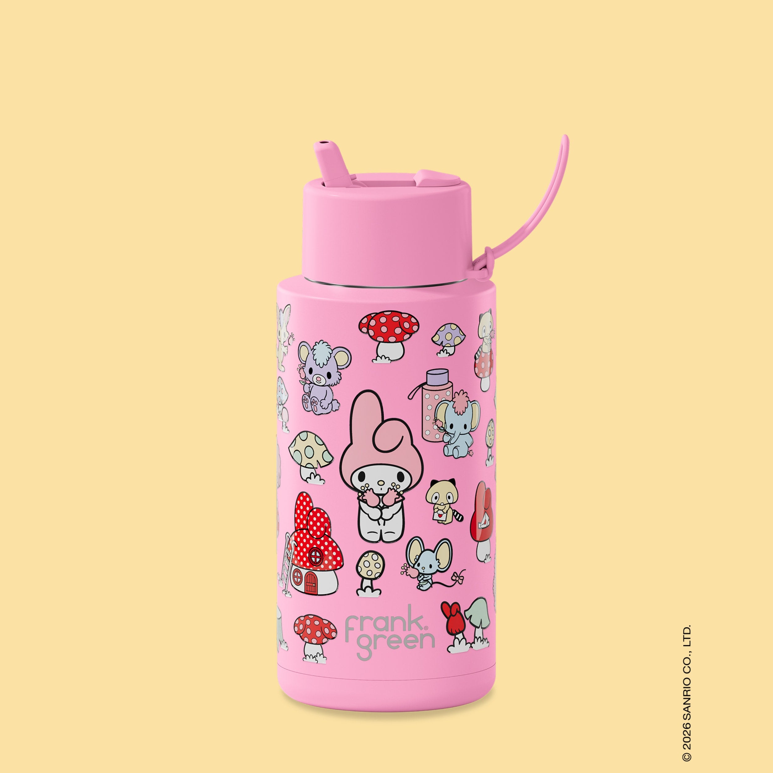 frank green 34oz Reusable Bottle My Melody with Flip Straw Lid