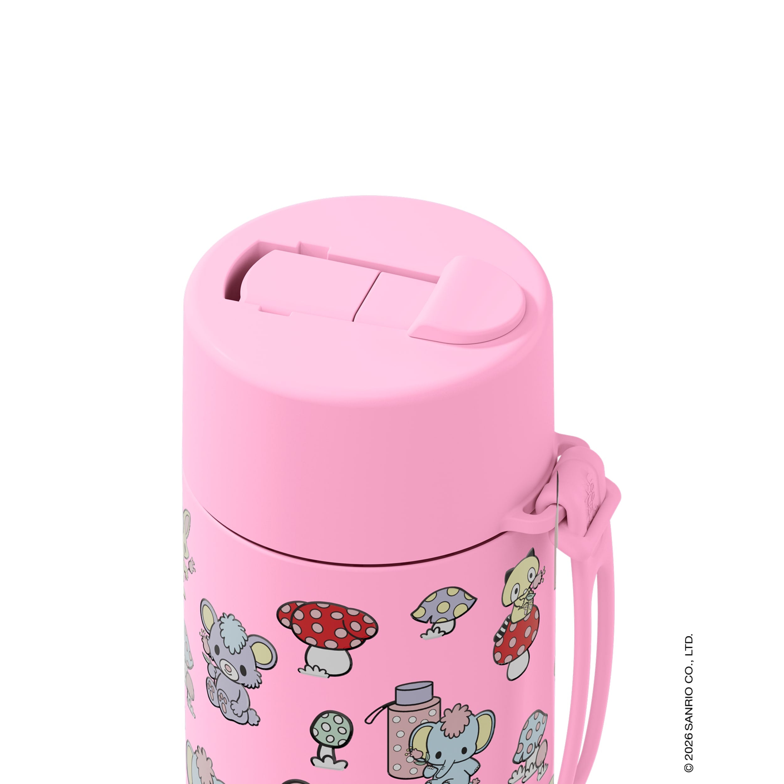frank green 20oz Reusable Bottle My Melody with Flip Straw Lid