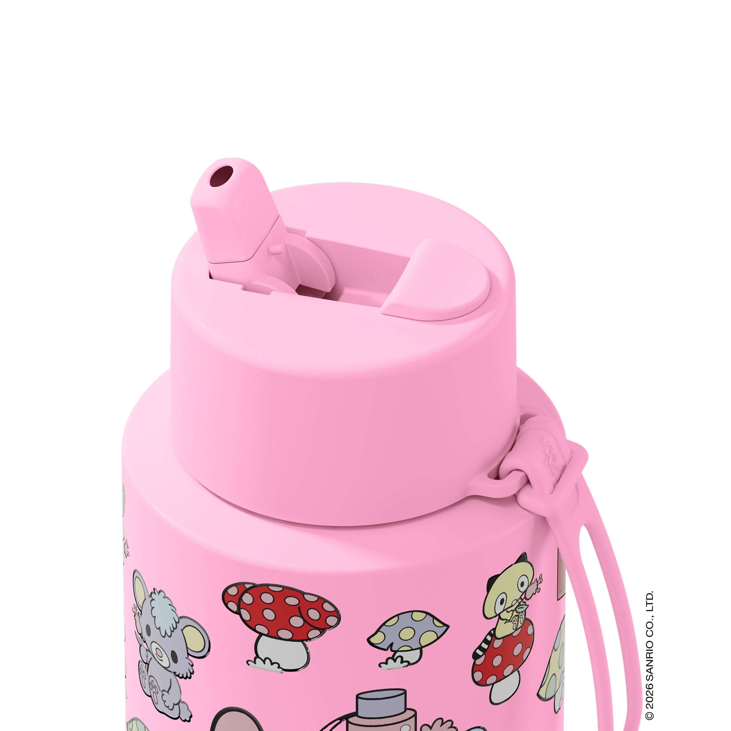 frank green 34oz Reusable Bottle My Melody with Flip Straw Lid