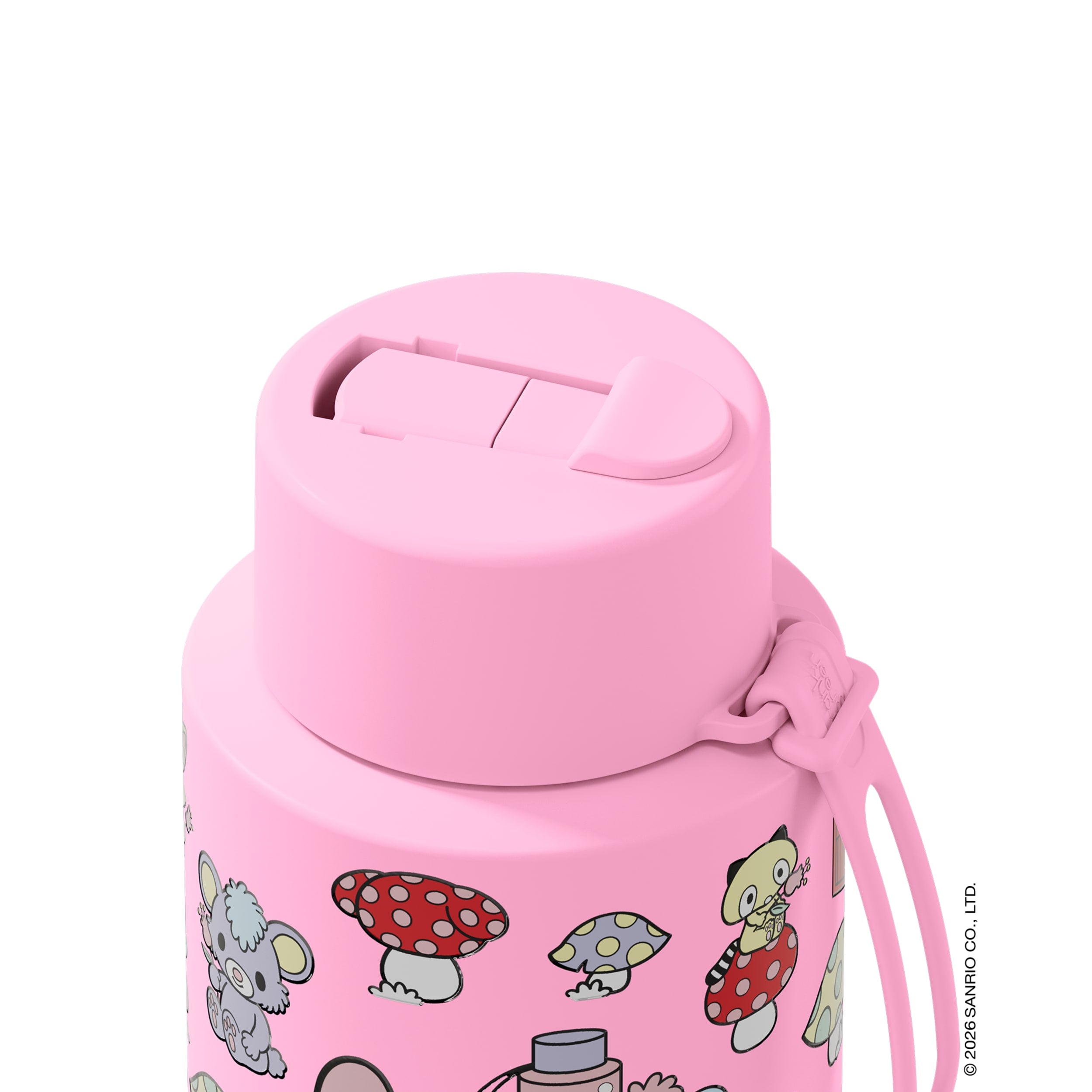 frank green 34oz Reusable Bottle My Melody with Flip Straw Lid